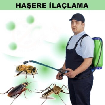 Sarıkaya Böcek İlaçlama